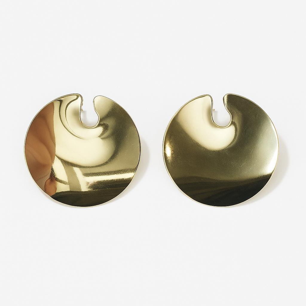 Modern Shine Earrings